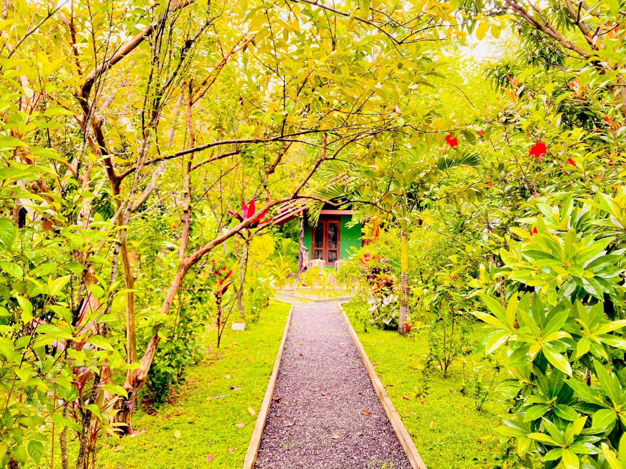 Suncity Privacy Cottages Udawalawe Eksteriør billede