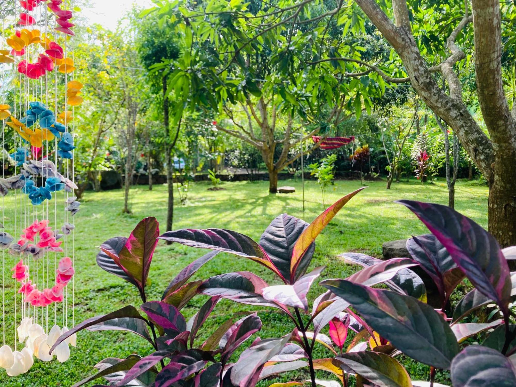 Suncity Privacy Cottages Udawalawe Eksteriør billede