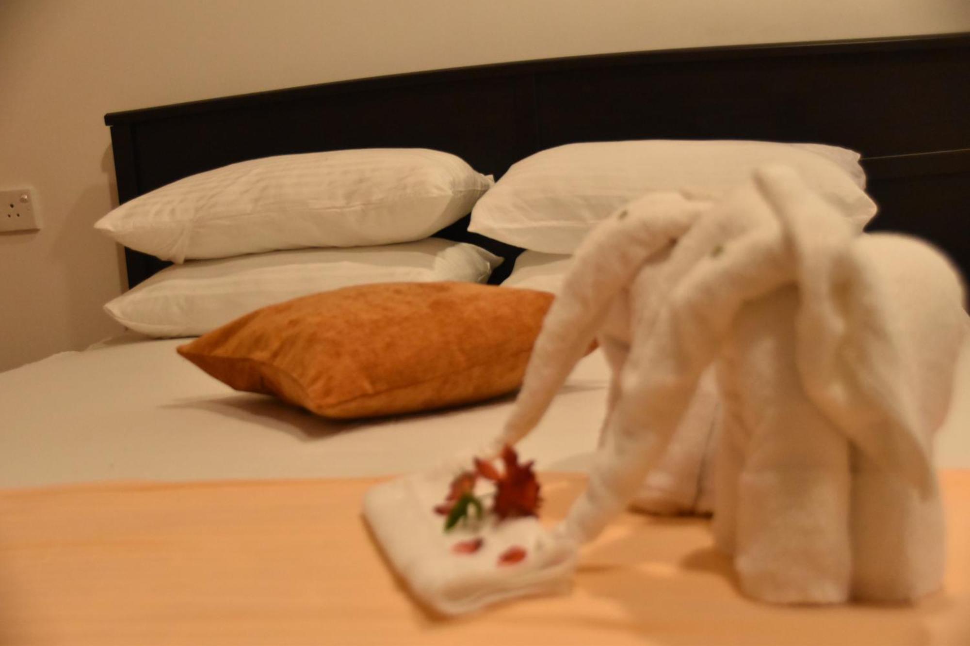 Suncity Privacy Cottages Udawalawe Eksteriør billede
